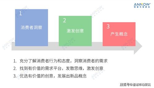 產品研發早期創新研究指南 聚焦計算機軟件開發